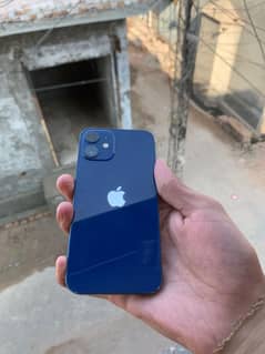 I phone 12 mini Ka Panel cheye Agr Kisi Bhai K Pas ha To Rabta Kary