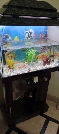 aquarium with all accessories