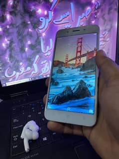 vivo Y66 Available !