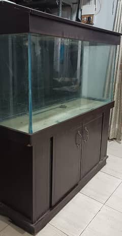 Fish Aquarium