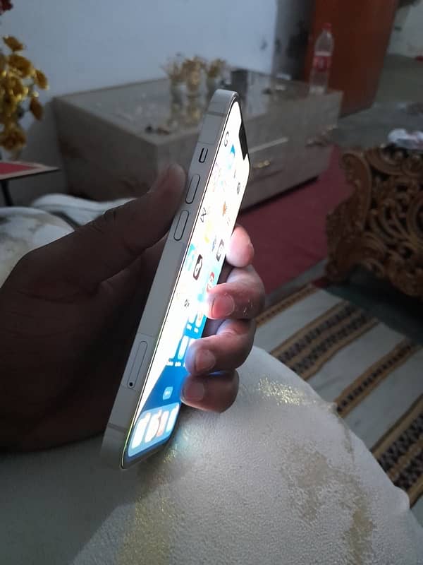 iPhone 13 non PTA 1