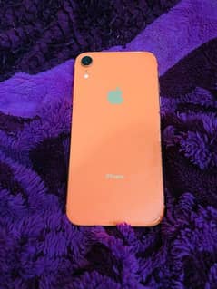 Iphone XR 128gb Total Original Factory Unlock