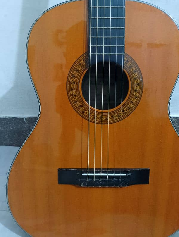 classical Branded Guitar 5