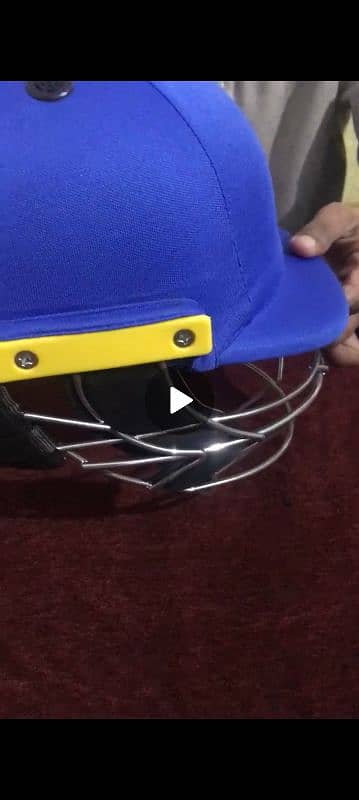 cricket helmet 3