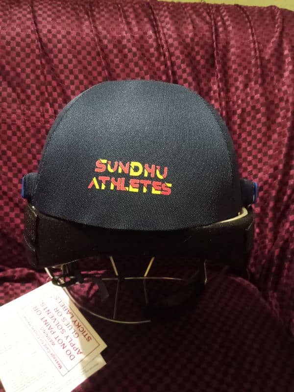 cricket helmet 6