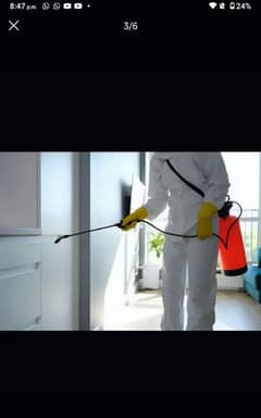 Fumigation spray pest control