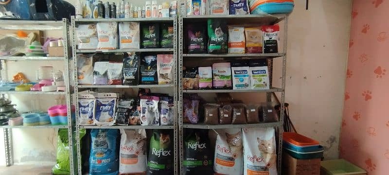 All kinds of cat food and accessories 2