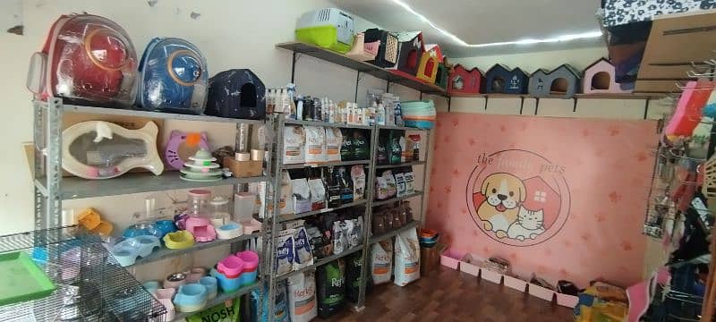 All kinds of cat food and accessories 3