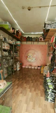 All kinds of cat food and accessories