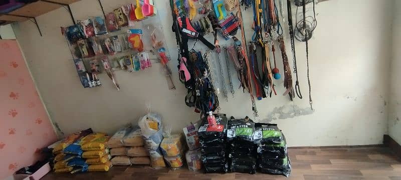All kinds of cat food and accessories 4
