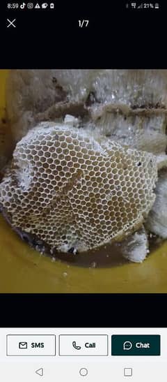 101 percent pure honey with bee hive