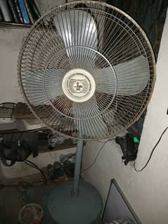 pedestal fan for sale