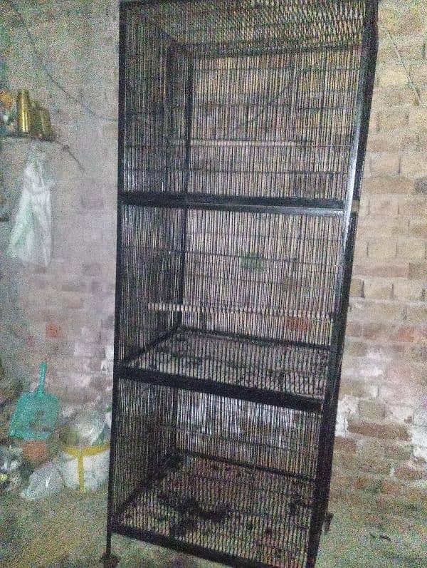 birds cage 0