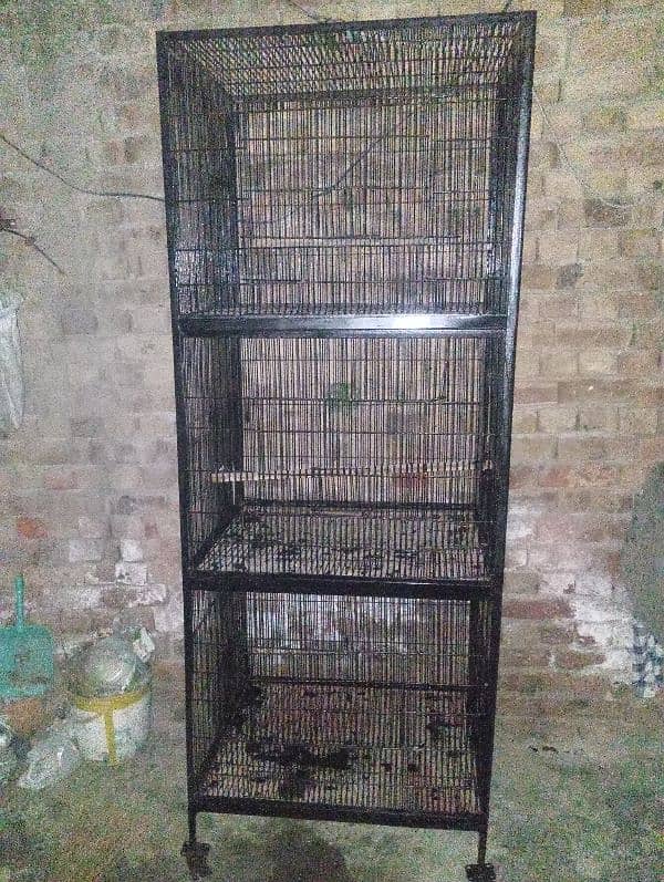 birds cage 1