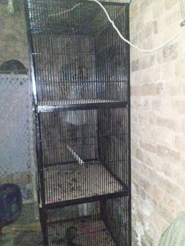 birds cage 2