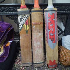 English willow Hard Ball cricket Bat