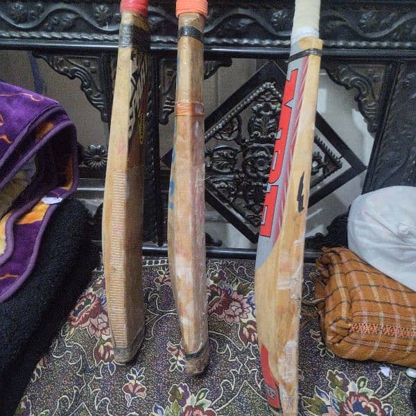 English willow Hard Ball cricket Bat 1