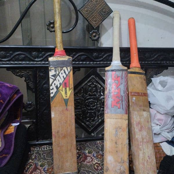 English willow Hard Ball cricket Bat 2