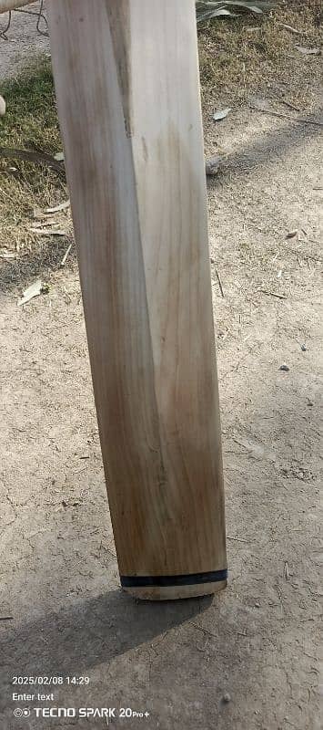 Pure English willow only 2 months used 18 straight grains 6