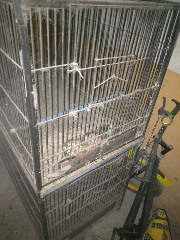 RingNeck Breeding Cage 0