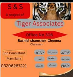 Tiger Associates