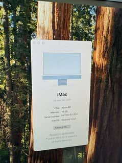 imac 2021  24 inch Display