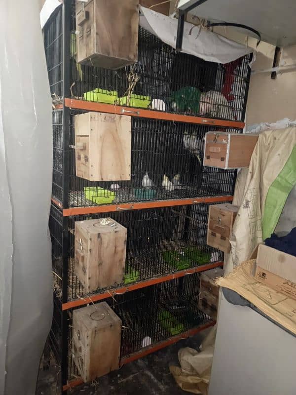 8 portions cage for sale 0