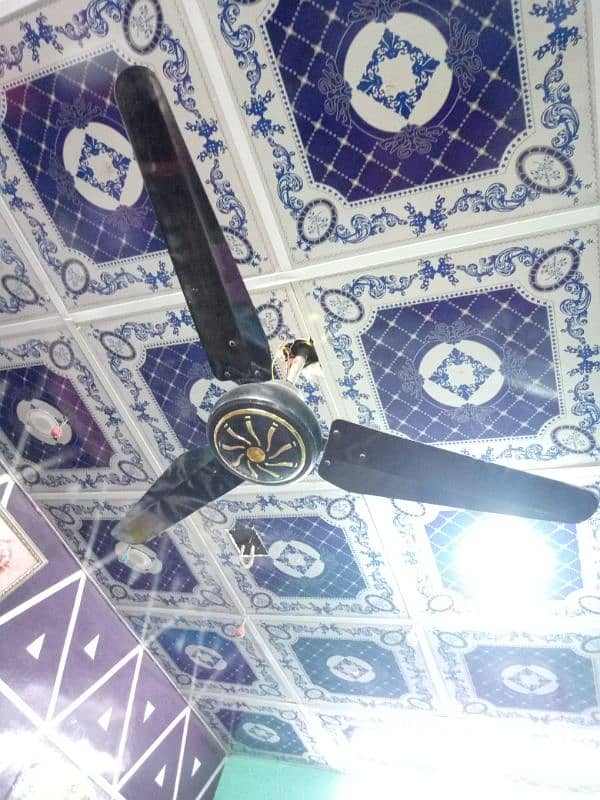 Ceiling Fan   and Bracket Fan 5