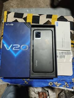 VIVO