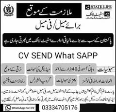 JOB OFFER STATE LIFE OFFICE Male CV FEMALE JOB 03334705176 Graduation.