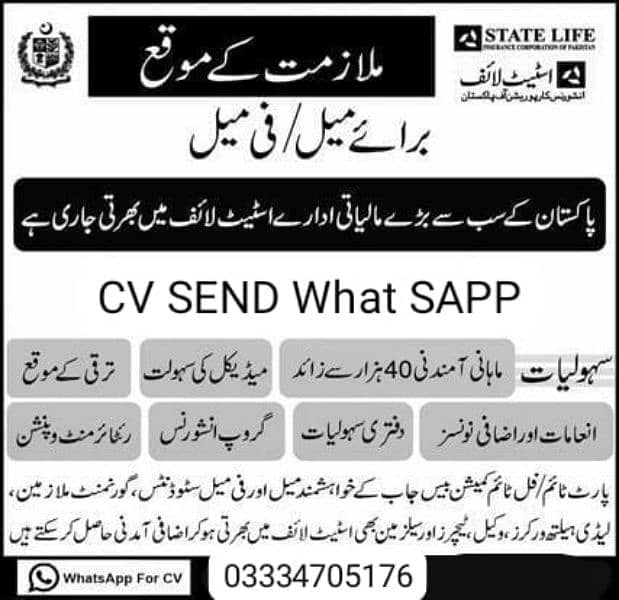 JOB OFFER STATE LIFE OFFICE Male CV FEMALE JOB 03334705176 Graduation. 0