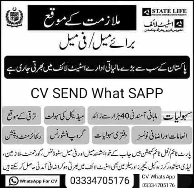 JOB OFFER STATE LIFE OFFICE Male CV FEMALE JOB 03334705176 Graduation. 3