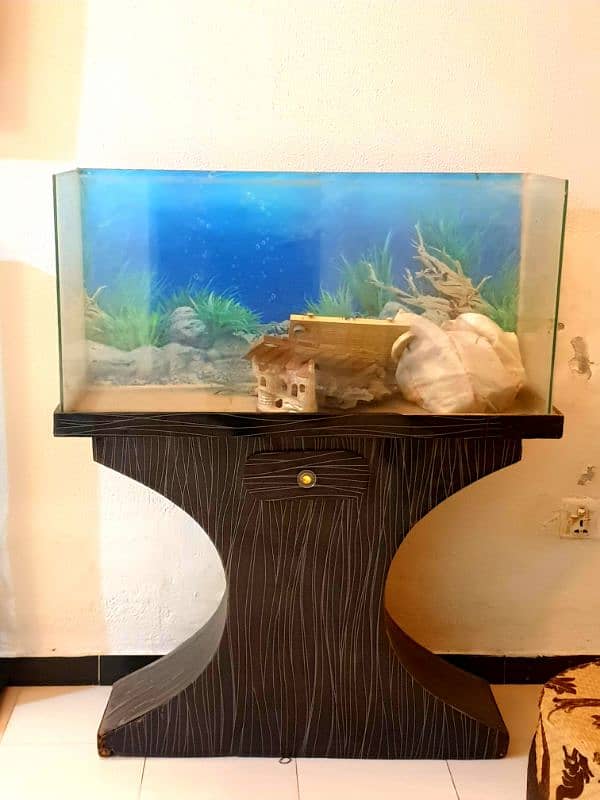 Large Sized Aquarium 0