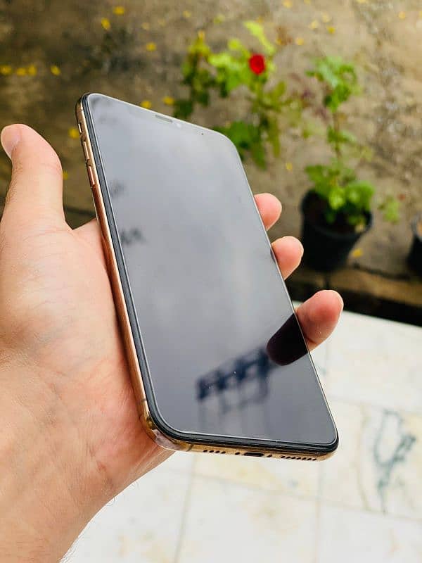 iPhone XS Max 3