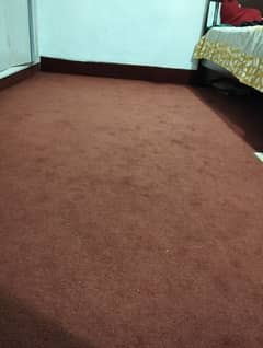 carpet only 3 months used,for 5 rooms