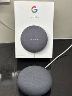 Google Nest Mini