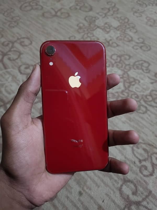 iPhone XR 6