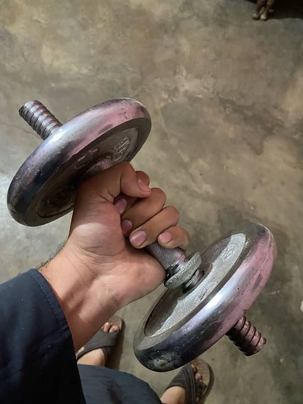 6kg dumbell pair 1