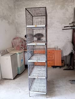 Birds cage hen cage WhatsApp number 03454436330