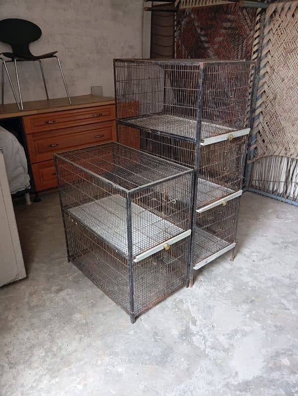 Birds cage hen cage WhatsApp number 03454436330 5