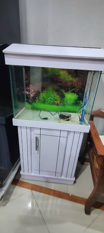 brand New Aquarium 1