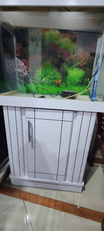 brand New Aquarium 2