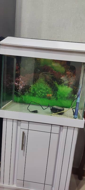 brand New Aquarium 3