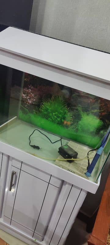 brand New Aquarium 4