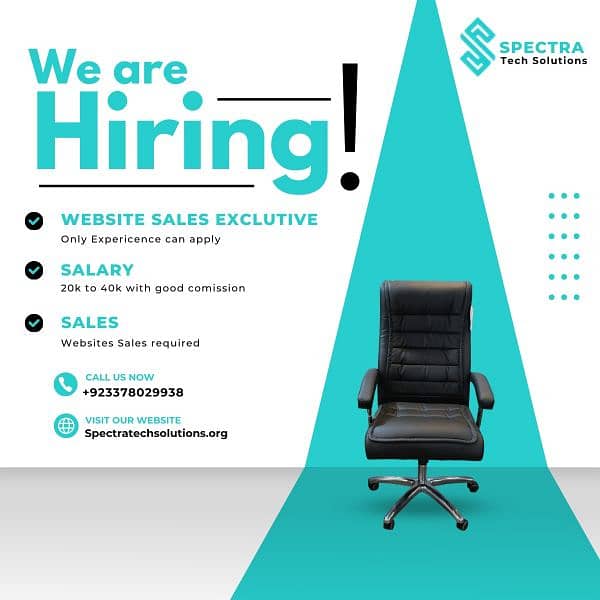 Need website sales Executive 0