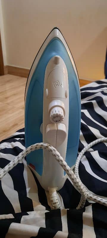 steam iron 2