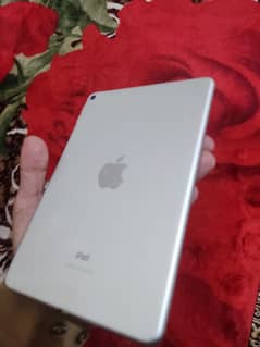 ipad mini 5