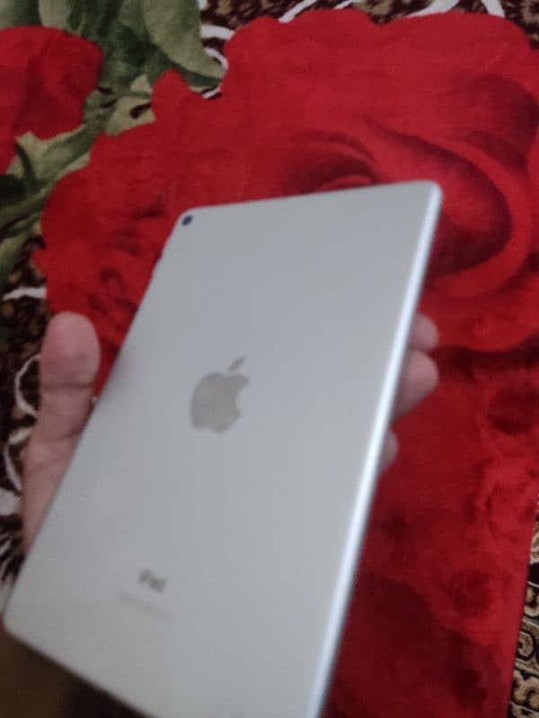 ipad mini 5 1