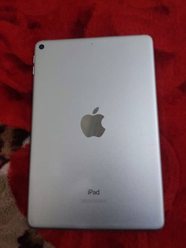 ipad mini 5 6