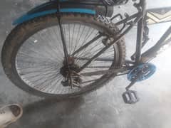 cycle for sale